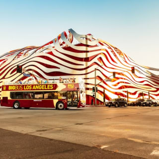 Big Bus Los Angeles: Tour Hop-on Hop-off 2