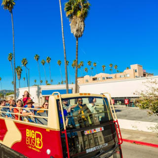 Big Bus Los Angeles: Tour Hop-on Hop-off 3