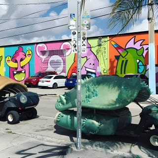 French Street Art Tour a Wynwood, Miami 2