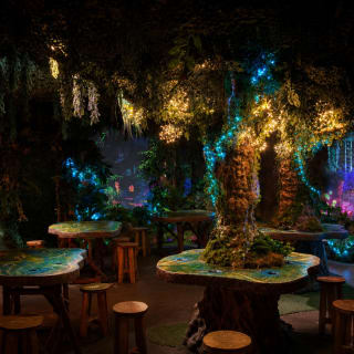 Avora: A New World Immersive Experience 5
