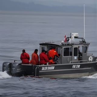 Ultimate Marine Whale & Wildlife Tour 4