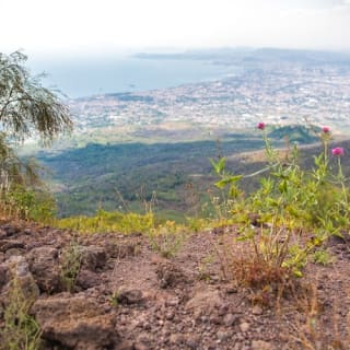 Pompei e il Vesuvio: Gita di un giorno da Napoli 11