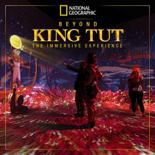 National Geographic - Beyond King Tut: The Immersive Experience - Waitlist 2
