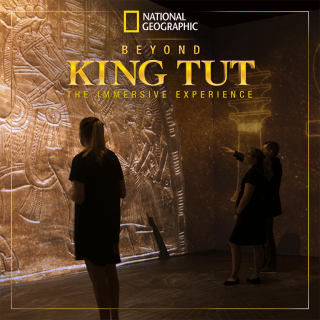 National Geographic - Beyond King Tut: The Immersive Experience - Waitlist 3