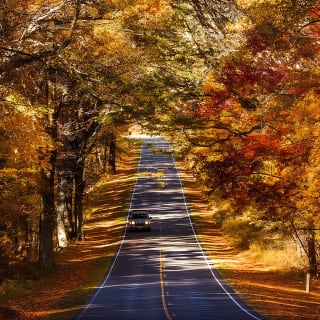 Shenandoah National Park Self-Driving Audio Tour 15