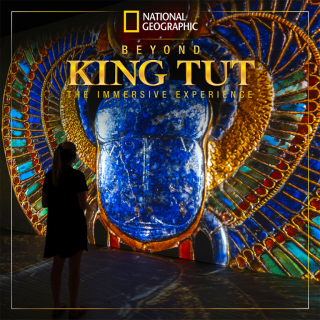National Geographic - Beyond King Tut: The Immersive Experience - Waitlist 4
