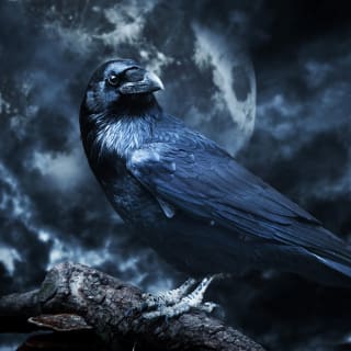 Edgar Allan Poe Speakeasy at Oakland Cemetery - Atlanta, GA 5