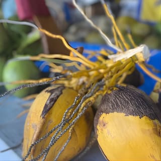 Miami's Most Authentic Walking Tour of Little Havana 6