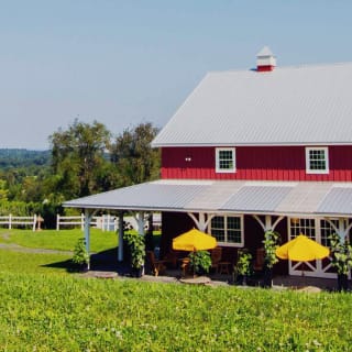 From Manhattan: Fall Apple Picking & Pumpkin Patch Visit Day Trip 4