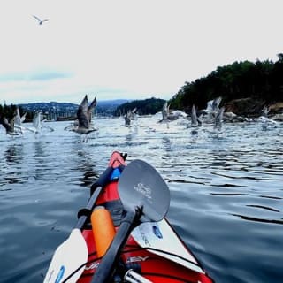 2- hour kayak trip on the Oslo Fjord 4