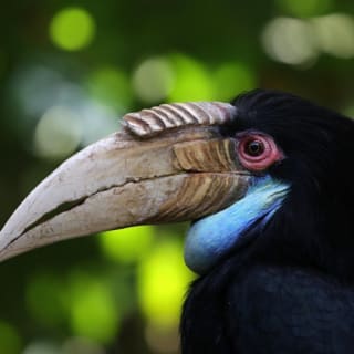 ARTIS Amsterdam Koninklijke Dierentuin & Groote Museum: Skip-the-Line Entree Ticket 4