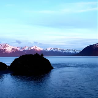 Ultimate Anchorage Winter Wildlife & Sunset Tour 1