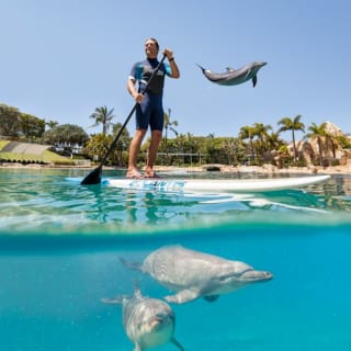Warner Bros. Movie World, Sea World & Wet'n'Wild Gold Coast: 7-Day Pass 4
