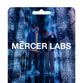 Maestros and The Machines - Gift Card 1