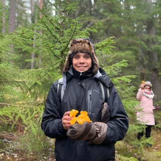 Mushroom Hunting in a National Park 5