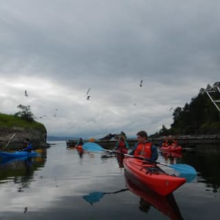 2- hour kayak trip on the Oslo Fjord 8