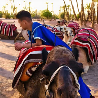 Balade à dos de chameau au coucher du soleil dans la palmeraie de Marrakech 2