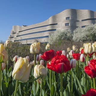Accès sans attente au Musée Canadien de l'Histoire 1