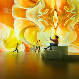 Illuminarium Las Vegas Presents: O'Keeffe One Hundred Flowers 2