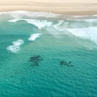 Coastal Helicopter Flight - 20 Minutes 5
