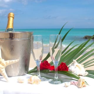 MIAMI Beach Wedding or Vow Renewal Ceremony  2