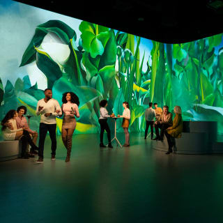 Illuminarium Las Vegas Presents: O'Keeffe One Hundred Flowers 3