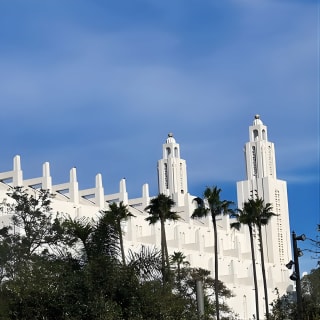 Casablanca and Morocco Shared Walking Tour with Licensed Guide 2