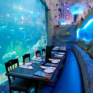 Downtown Aquarium Denver: Entry Ticket 1