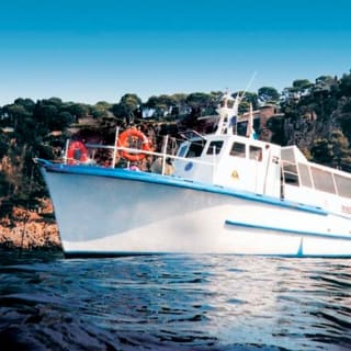 Cruises and diving on the Côte d'Azur 5