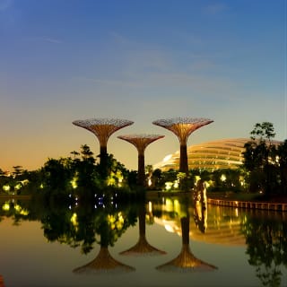 Flower Dome & Supertree Observatory 2