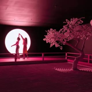 Moco Museum: Modern, Contemporary and Digital Art Experience 5