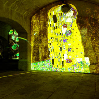 Impressive Monet & Brilliant Klimt: a pintura ganha vida 3