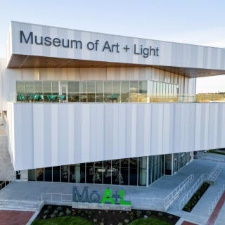 Picasso: Art In Motion 6