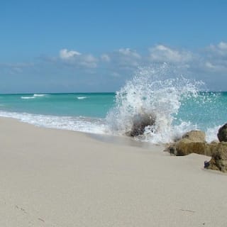 MIAMI Beach Wedding or Vow Renewal Ceremony  6