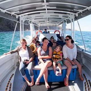 Seal Island Boat Tour from Victor Harbor 2