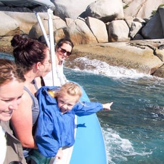 Seal Island Boat Tour from Victor Harbor 3