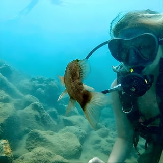 Beginner Scuba Diving Experience With Videos in West Palm Beach 1