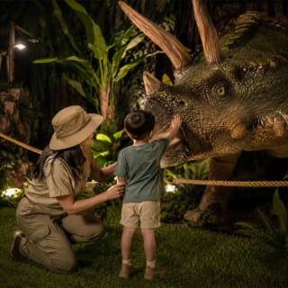 Mundo dos Dinossauros: A Expedição Jurássica 5
