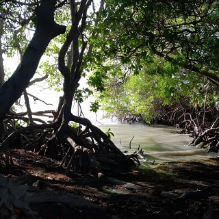 Full Day West Coast Adventure in Puerto Rico 6