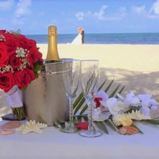 MIAMI Beach Wedding or Vow Renewal Ceremony  8