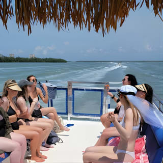 Dolphin and Sightseeing Tiki Cruise 8