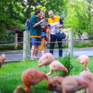 Wilder Institute's Calgary Zoo: Entry Ticket 19