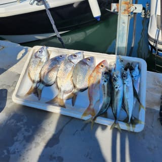 Excursión de pesca en alta mar en Fuengirola 3