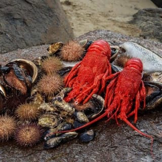 Tasmanian Seafood Gourmet Full-Day Cruise Including Lunch 1
