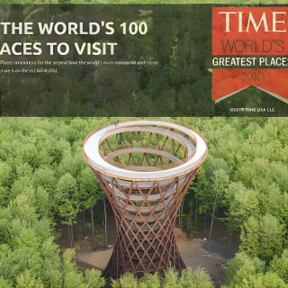 The Forest Tower and Forgotten Giants-A day tour from Copenhagen 8