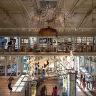 ARTIS Amsterdam Koninklijke Dierentuin & Groote Museum: Skip-the-Line Entree Ticket 13