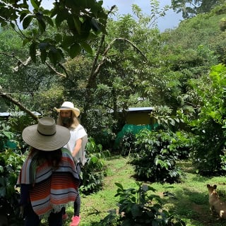 Kaffee-Farm-Tour von Bogotá – Sei einen Tag lang Farmer 28