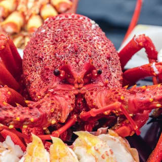 Tasmanian Seafood Gourmet Full-Day Cruise Including Lunch 5