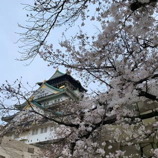 Osaka Highlights: 4-stündige geführte Spaziergangtour mit einem einheimischen Experten 2