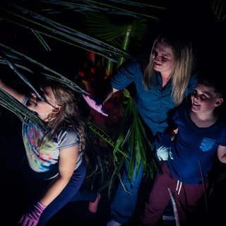 Skip the Line: Odyssey Sensory Maze Auckland 5